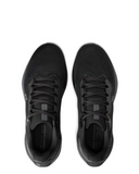 PEGASUS 41