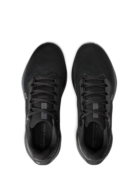 PEGASUS 41