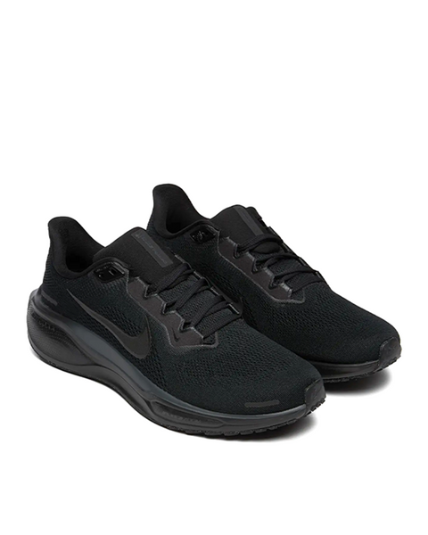 PEGASUS 41
