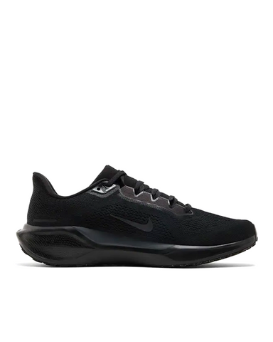 PEGASUS 41