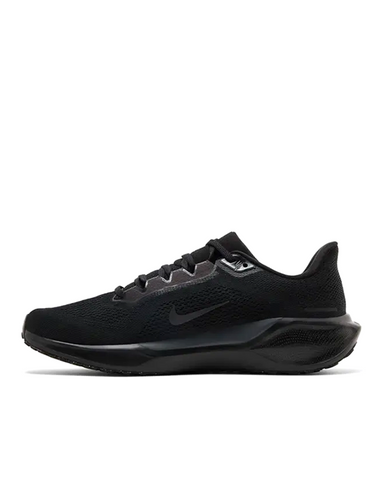 PEGASUS 41