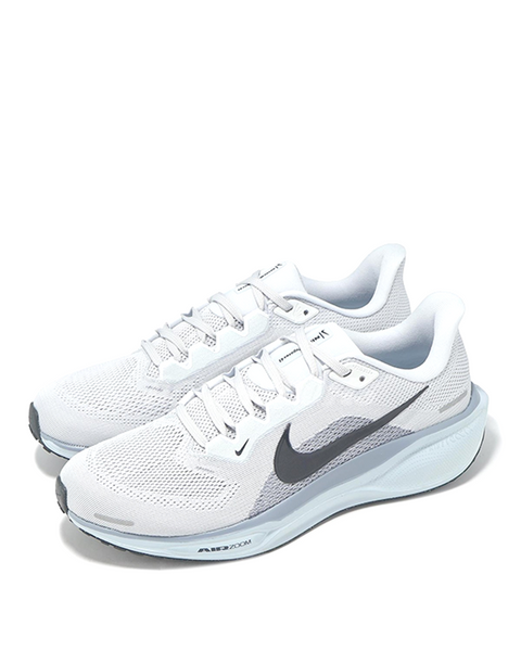 PEGASUS 41