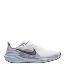 PEGASUS 41