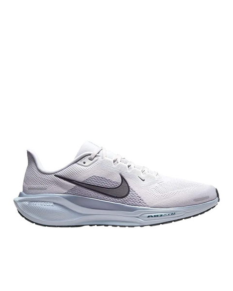PEGASUS 41
