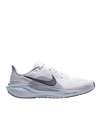 PEGASUS 41