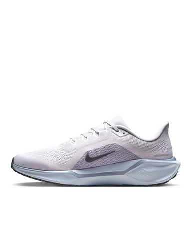 PEGASUS 41