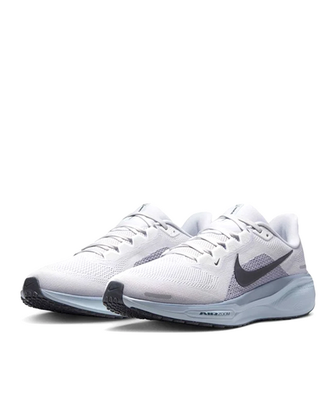 PEGASUS 41