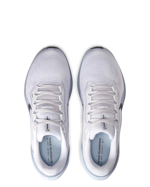 PEGASUS 41