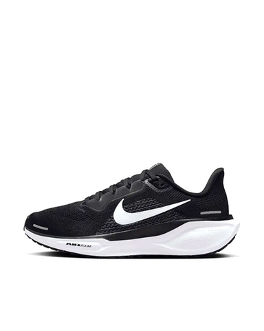 PEGASUS 41