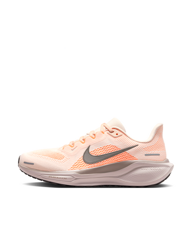 PEGASUS 41