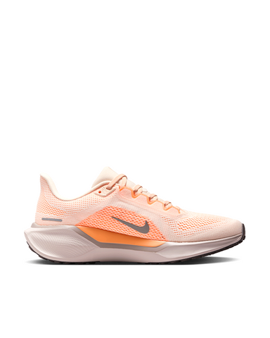PEGASUS 41