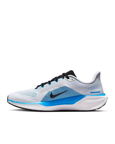 PEGASUS 41