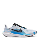 PEGASUS 41