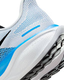 PEGASUS 41