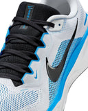 PEGASUS 41