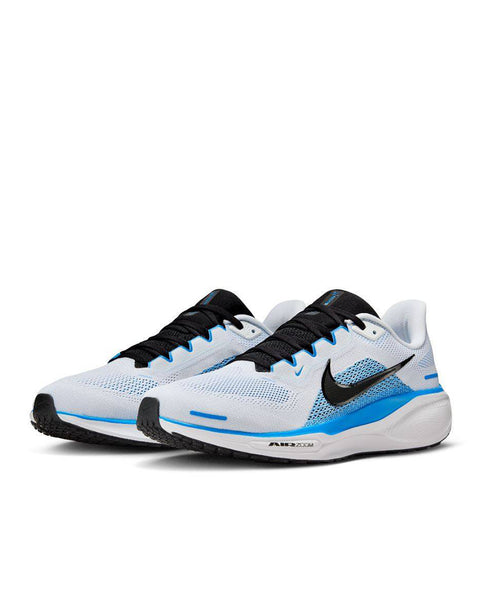 PEGASUS 41