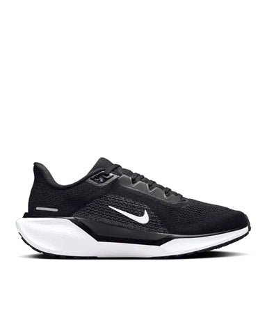 PEGASUS 41