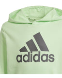 BIG LOGO HOODIE