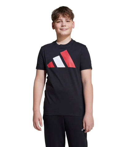 BIG LOGO TEE