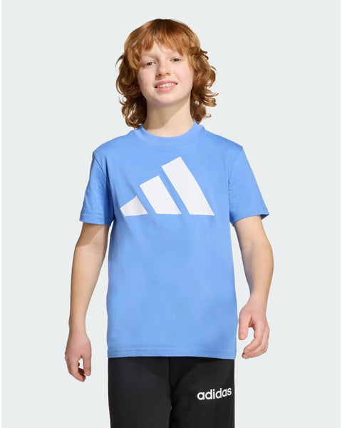 BIG LOGO TEE