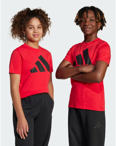 BIG LOGO TEE