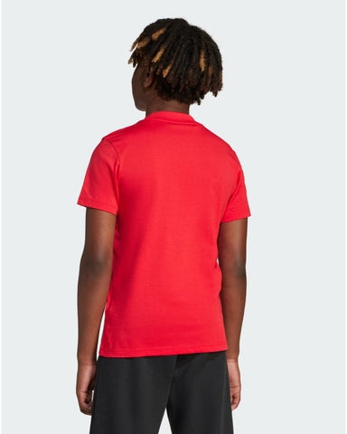 BIG LOGO TEE