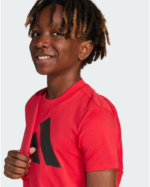 BIG LOGO TEE