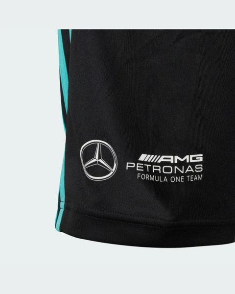 MER DNA PETRONAS