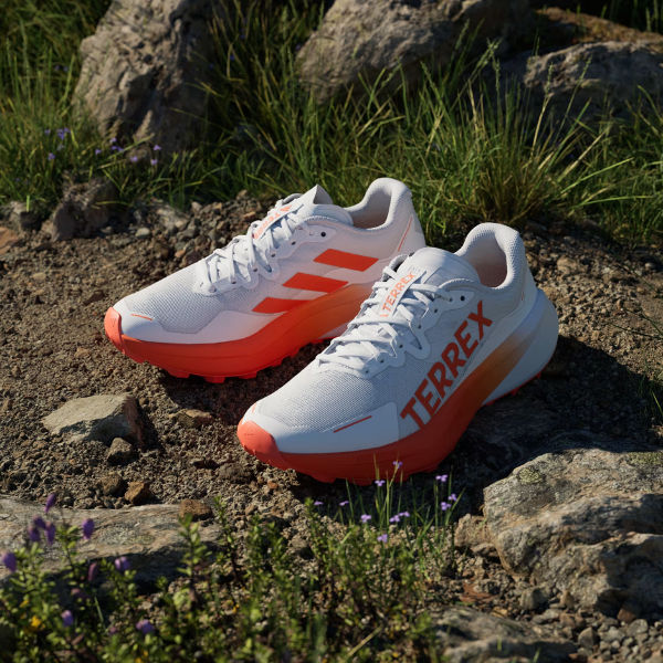 /collections/nouveautes-chaussures